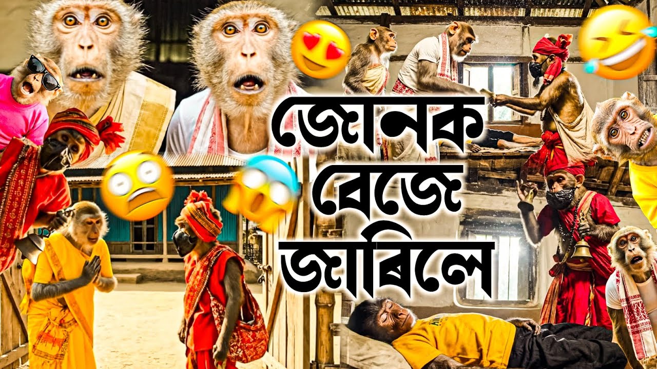জোনৰ ভূত ওলাই পৰিল 🤣😍 | Assamese Monkey Vlogger | Deka Bandor | 