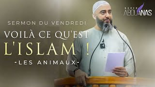 L'ISLAM ET LES ANIMAUX (1ÈRE PARTIE) - NADER ABOU ANAS