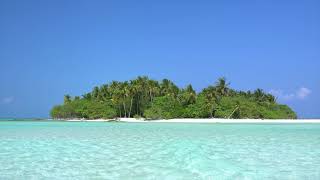 🌴 Tropical Island Ambience Relaxing Ocean Waves