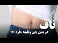 وظیفه ناف در بدن چیست 