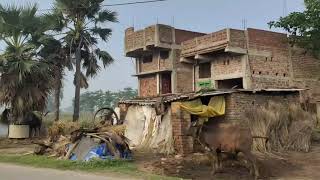 A tour to Nawada ( Bihar) from my village through car 🚗.