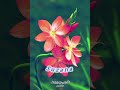 Jeshii Classic Sb Suzana Official Lyrics Audio 