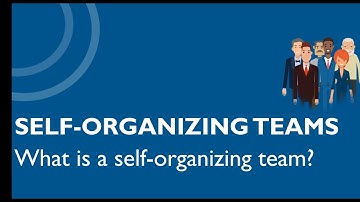 What is the purpose of a self-organizing team?