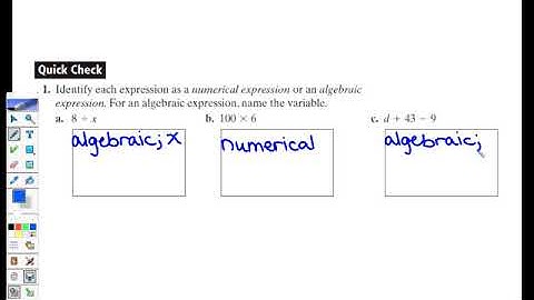 1.1 Variables and Expressions Video Lesson