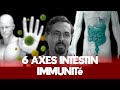 Immunit renforcezla efficacement grce  la sant de votre intestin