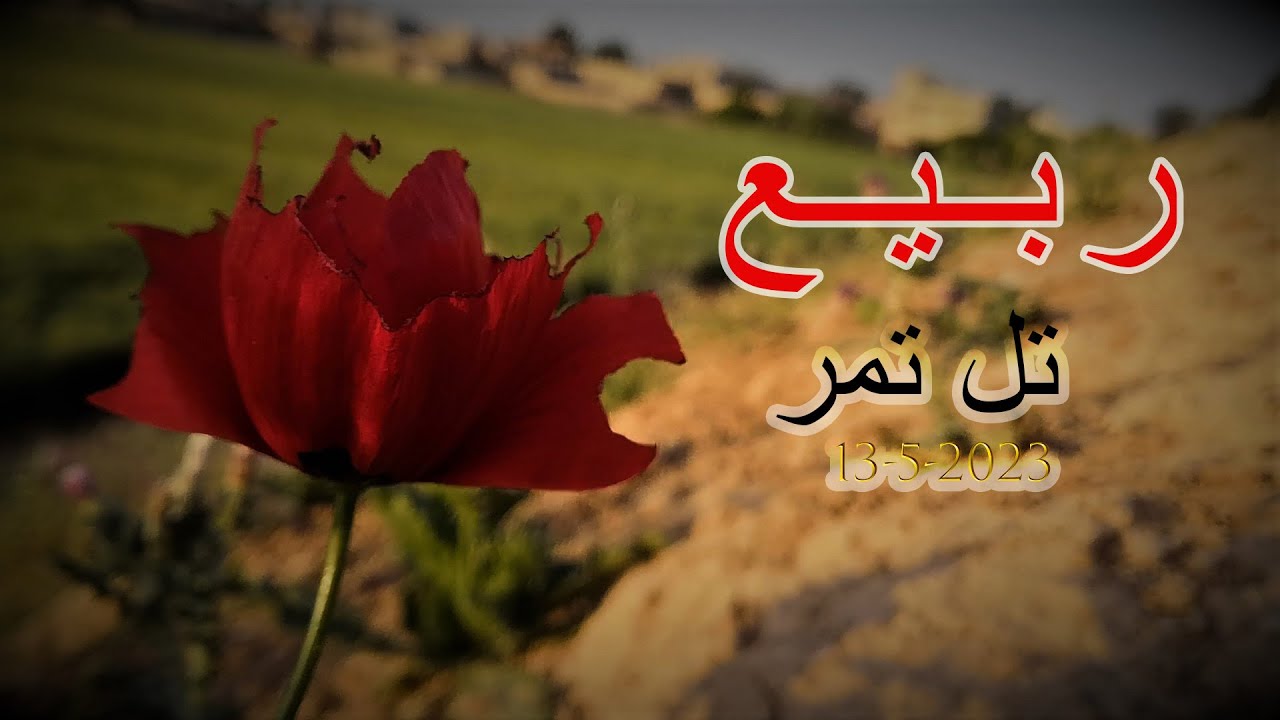 مشاهد من بلدة تل تمر 13 ايار 2023