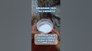 Trik ampuh membasmi tikus #creatorkampung #tikus #tipssederhana #tipspraktis #tips #tipsampuh #unik