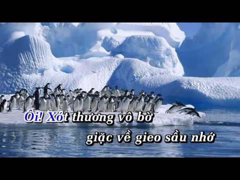 Người Em Xóm Đạo   Trường Vũ Karaoke Beat