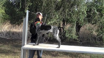 Trained Retrieve - Fetching New Objects Up & Down The Table