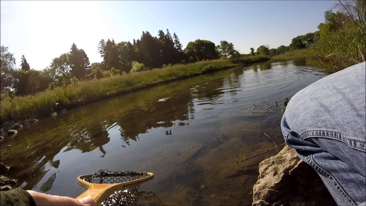 Urban Fly Fishing Carp and Pike Winnipeg Manitoba YouTube