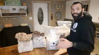 Piopinno Grow Kit Instructions