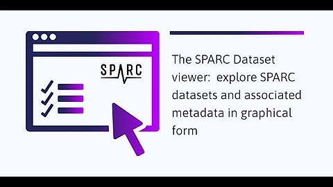 The SPARC Dataset viewer: explore SPARC datasets and associated metadata