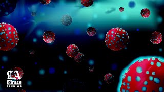 Chapter 1: The evolving virus