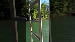IMG 3695