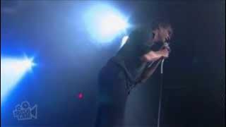 The Hives - Hollywood Babylon | Live in Sydney | Moshcam