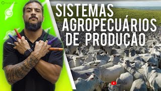 Sistemas Agropecuários de Produção - Geobrasil screenshot 3