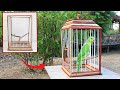 Rescue sad baby parrot and build wooden parrot bird cage