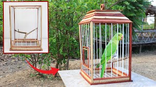 Rescue sad baby parrot and build wooden parrot bird cage