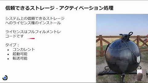 FLEXNET PUBLISHER(FlexLM)信頼できるストレージ