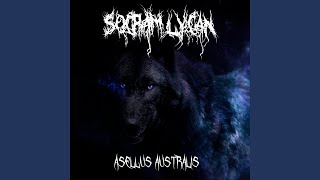 Asellus Australis