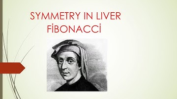 SYMMETRY IN LIVER FİBONACCİ