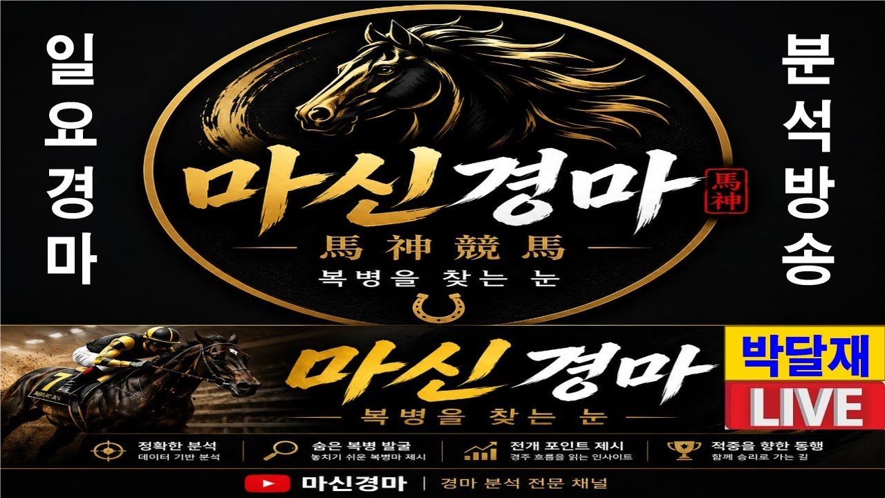 6월21일 일요경마#마신경마#박달재#경마 분석 전문 채널#복병마 발굴#정확한 분석#전개포인트 제시