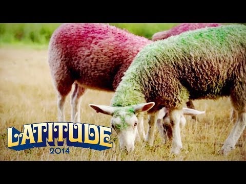 The Latitude Festival 2014 Trailer