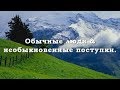 Необыкновенные поступки обычных людей