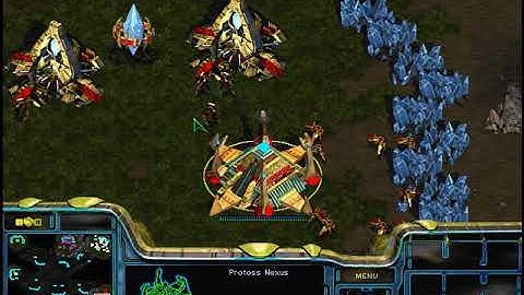 StarCraft: Brood War  - 7 Protoss ( me & 6 computers ) vs 1 Terran - Big Game Hunters