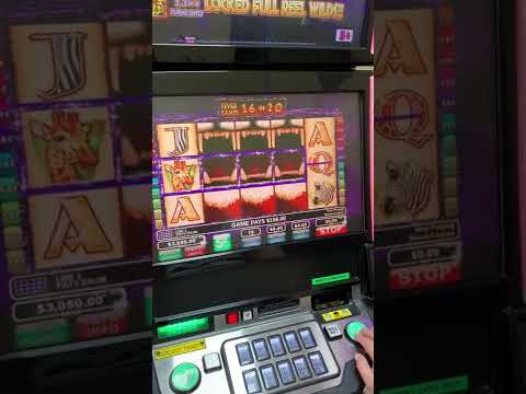 Ontdek Wild Clusters demo: Proef gratis online casino spellen in Nederland