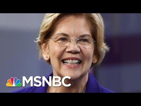 Warren: Time To Think More Creatively About 'Organized Nastiness' Online | Rachel Maddow | MSNBC