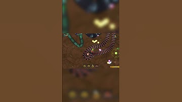 Little Big Snake.io 🐍 || Funny Moment ||