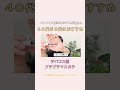 デパコス級 プチプラマスカラ
