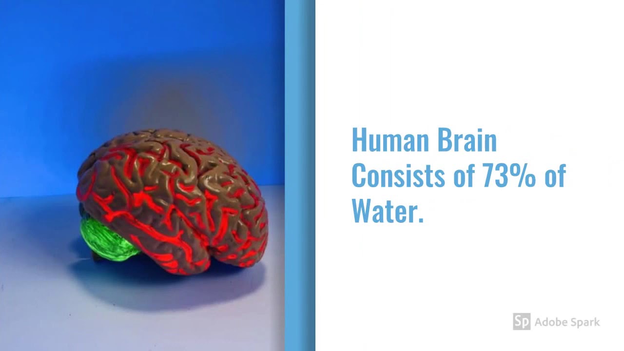 Water For Body. Clean Water For Body YouTube