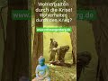 http://www.rolfstangenberg.de/wohlerhalten-durch-die-krisen-wohlerhalten-durch-den-krieg