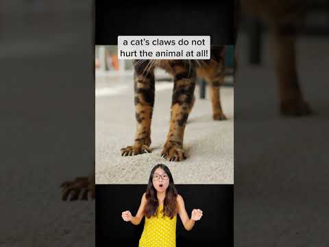 Видео: Climbing Cat's Claw Control - Избавляем сад от лиан Cat's Claw