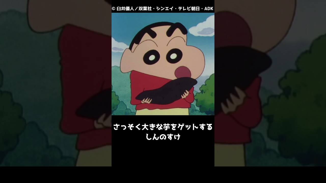ひまわりが子どものお兄さんにも興味あるって知ってる?【クレヨンしんちゃんのこんなこと知ってる?1053雑学まとめ】 #クレしん #クレヨンしんちゃん