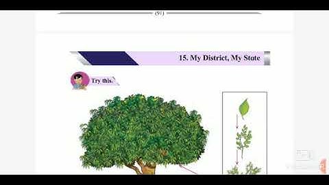 👆Std - 4th Sub - Evs1 L. No. 15. My District, My State ( Part 1)