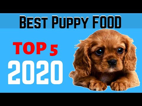 best-dog-food-for-puppies-in-2020-|-top-5-best-puppy-food-in-amazon