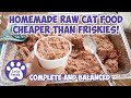 Homemade raw cat food recipe thats cheaper than friskies s6 e3 complete balanced raw cat food