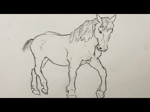 how to draw horse step by step