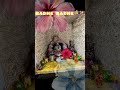Radhe Radhe 🙏🌼🌺🪷🌸#krishna #radheradhe #radheshyam #ladugopal