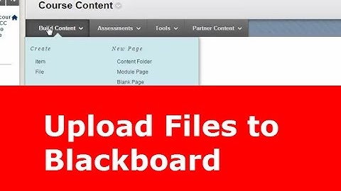 Upload Files to Blackboard