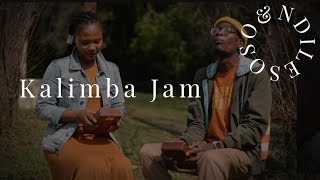 Sonwabiso x Bishop - Nyunga Nyunga Kalimba Jam session…