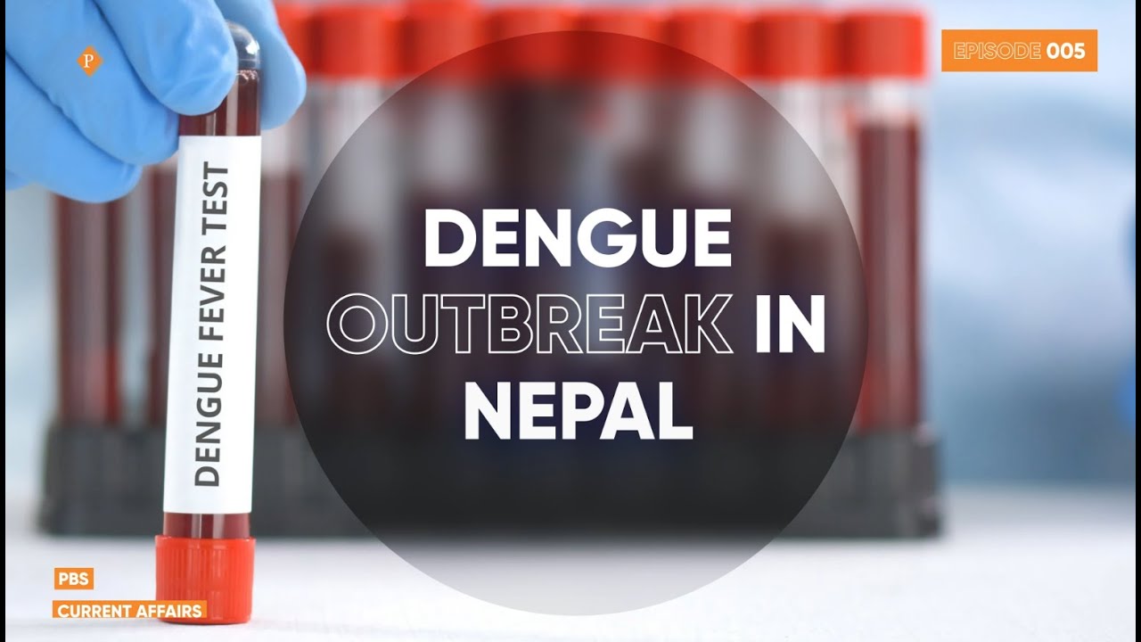 Dengue Outbreak in Nepal - YouTube