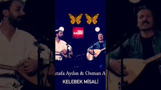 Kelebek Misali 🦋 🦋