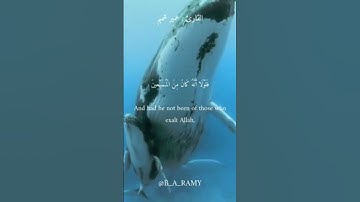 "وَإِنَّ يُونُسَ لَمِنَ الْمُرْسَلِينَ" //  اجمل تلاوة للقارئ عمير شميم // تلاوة تأخذك الى عالم اخر