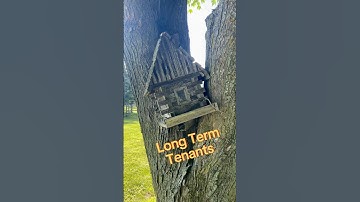 The Old Bird House #birdhouse #rusticcharm