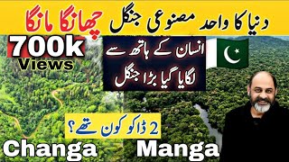 Changa Manga Amazing forest of the world/only handplanted forests in world/iftikhar Ahmed Usmani