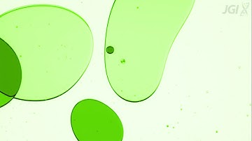 2020 JGI-UC Merced Internship: Analyzing existing data to discover new symbionts